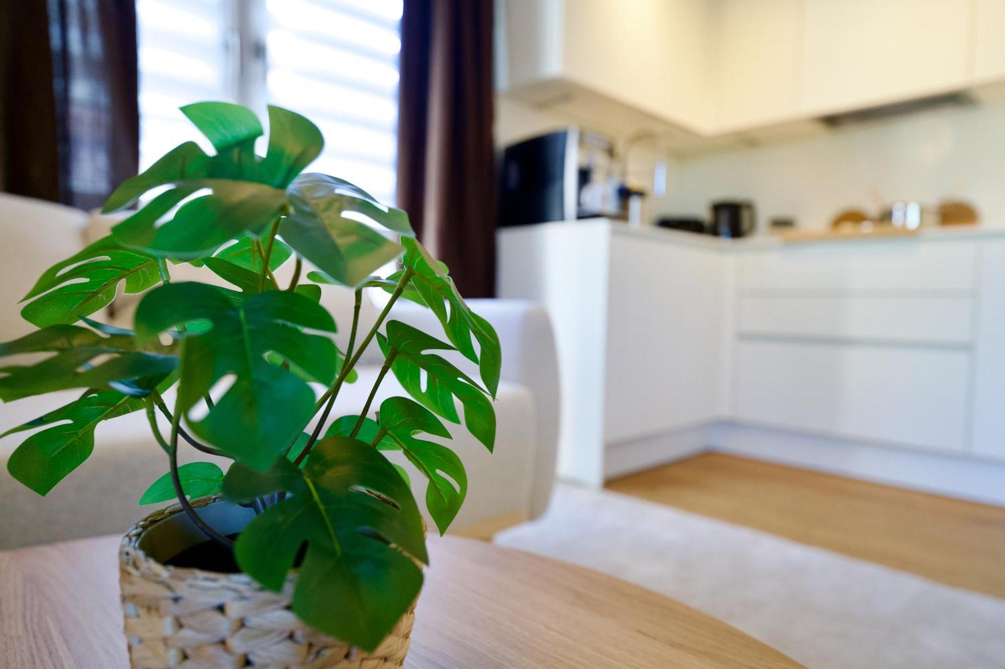Edler Wohnraum Schwanenteich-Oase Mit Balkon, Kaffeevollautomat, Lift & Parkplatz Appartement Zwickau Buitenkant foto